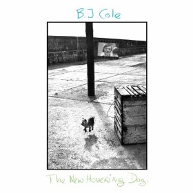 BJ Cole